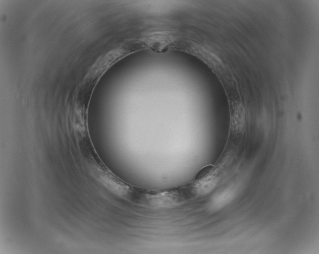 X0000069390430200605121216