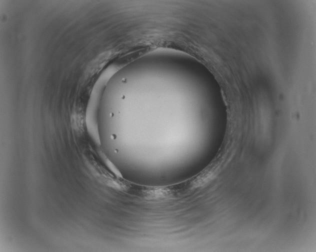 X0000069390432200605121216