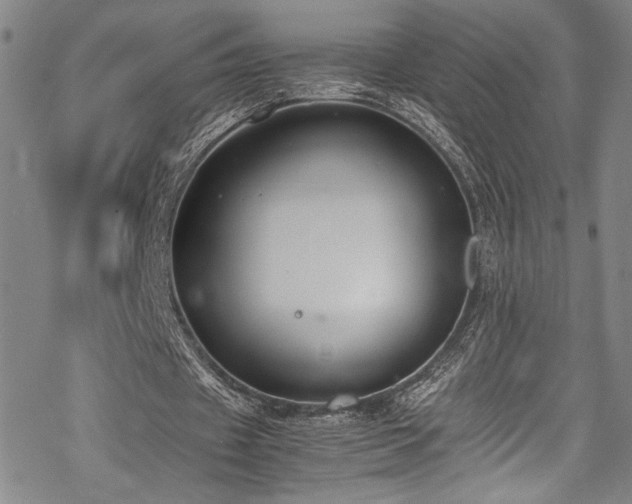 X0000069390433200605121215