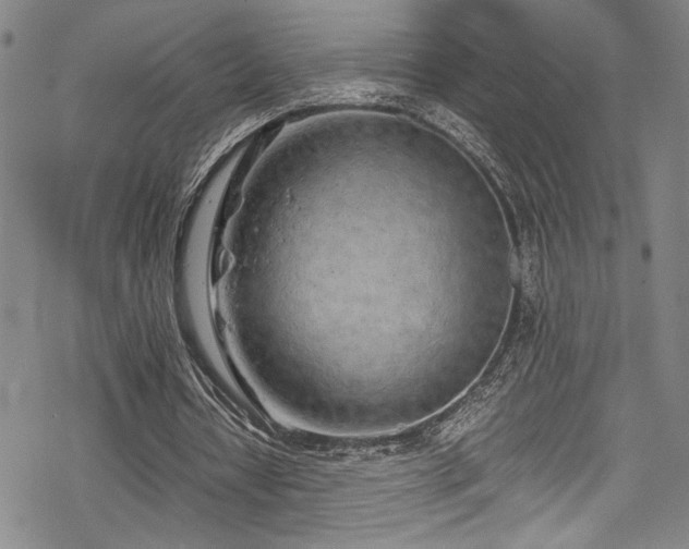 X0000069390434200605121215