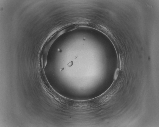 X0000069390435200605121215