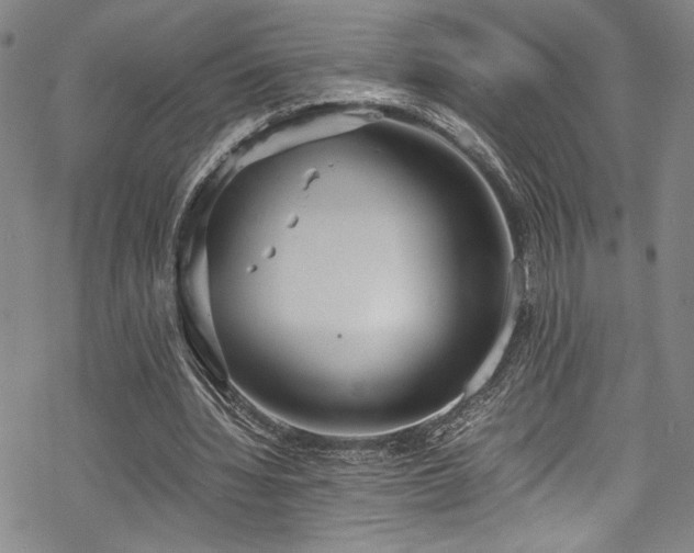 X0000069390436200605121215