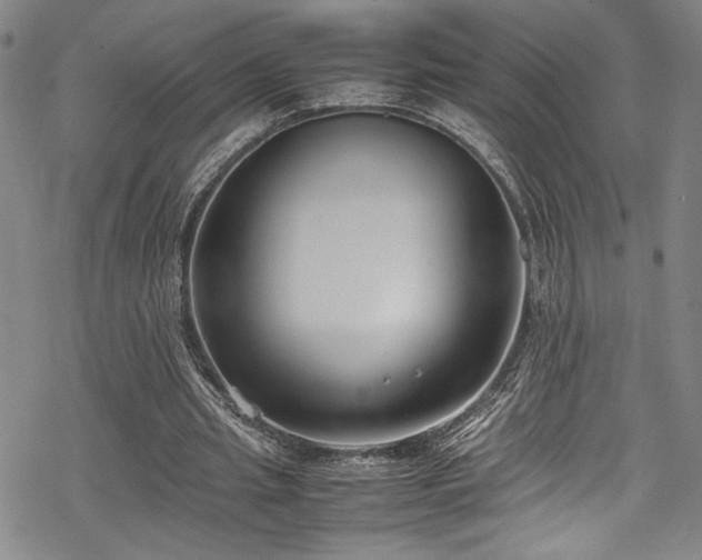 X0000069390437200605121215