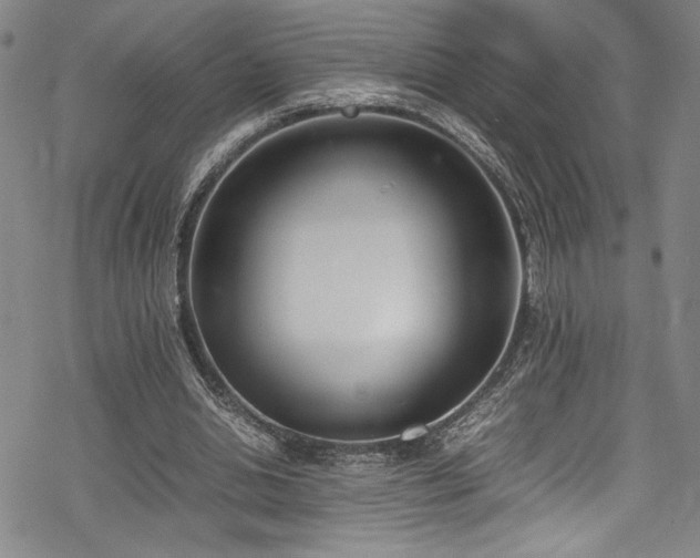 X0000069390438200605121215