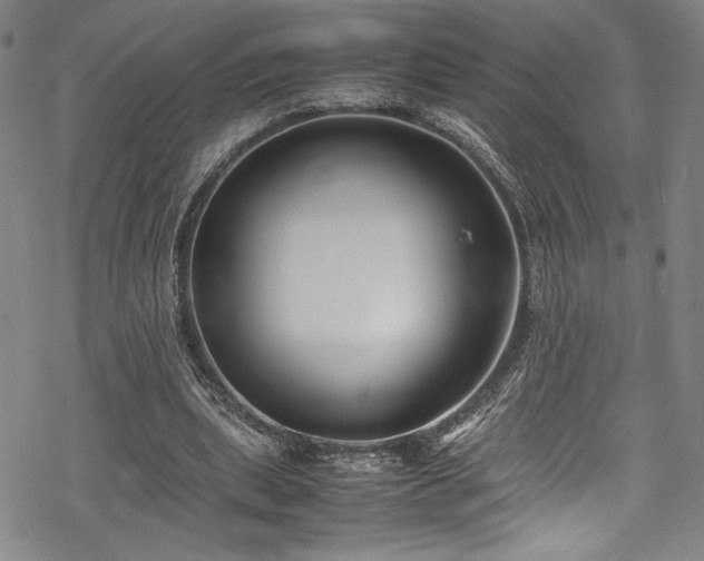 X0000069390439200605121215