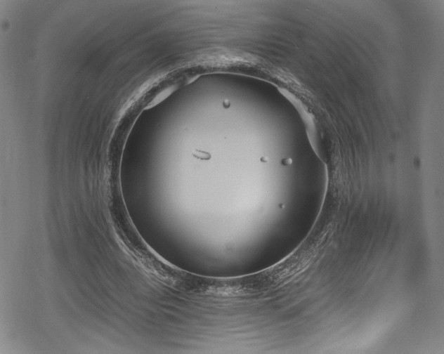 X0000069390440200605121215