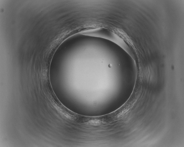 X0000069390441200605121215