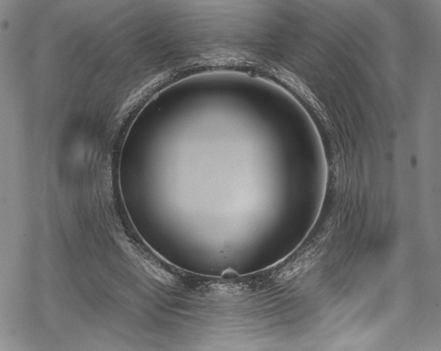 X0000069390442200605121215