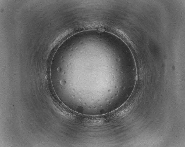 X0000069390443200605121215