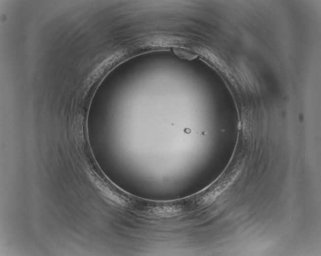 X0000069390445200605121215