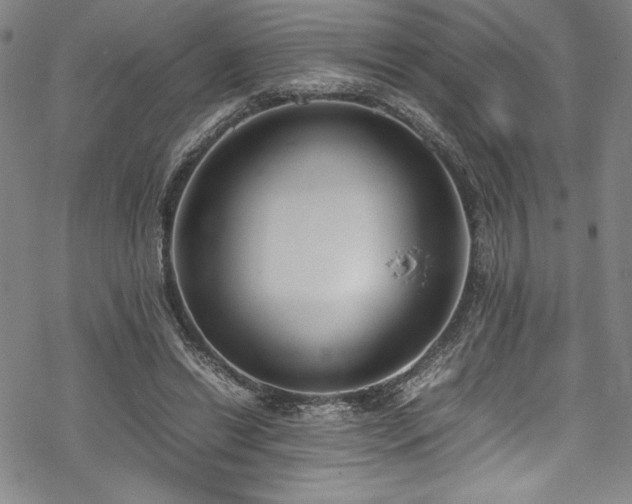 X0000069390446200605121215