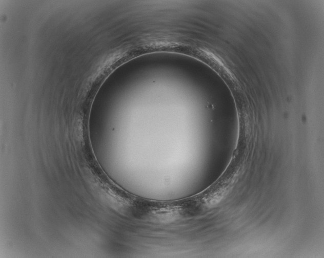 X0000069390447200605121215