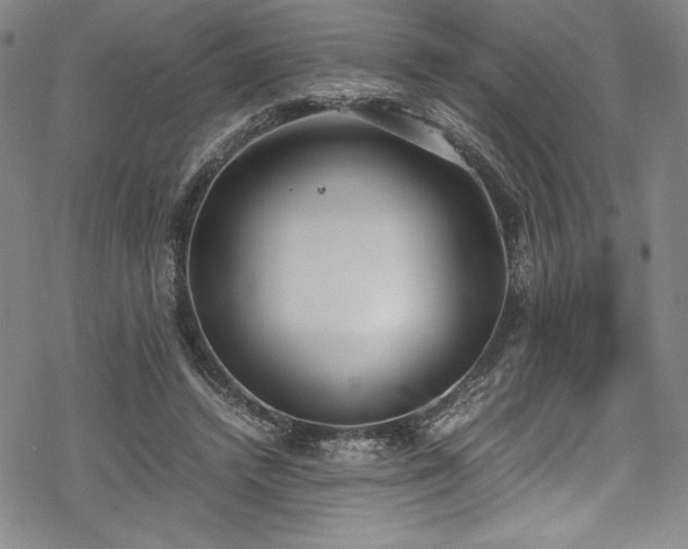 X0000069390448200605121215