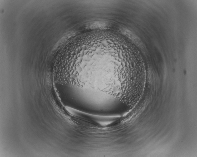 X0000069390449200605121215