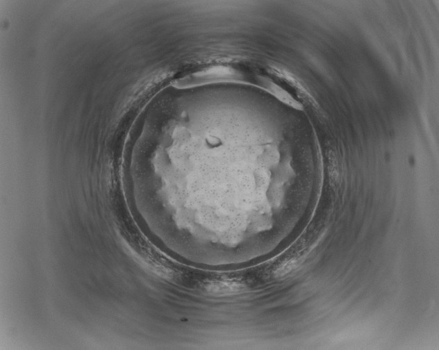 X0000069390451200605121215