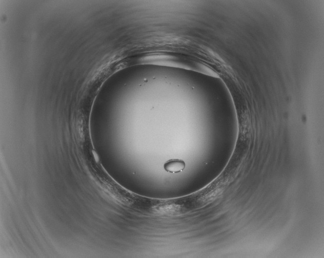 X0000069390452200605121215