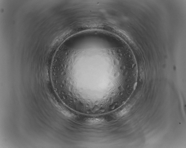 X0000069390453200605121215