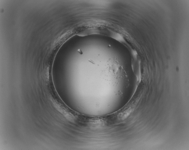 X0000069390454200605121215