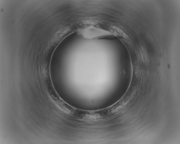 X0000069390455200605121215