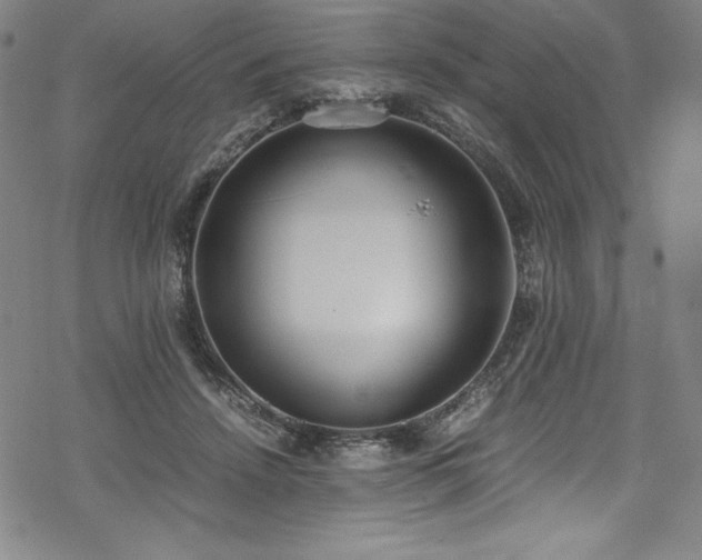 X0000069390456200605121215