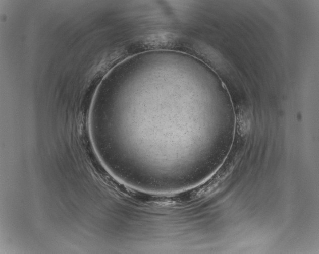 X0000069390458200605121215