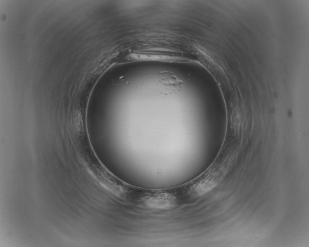 X0000069390459200605121215