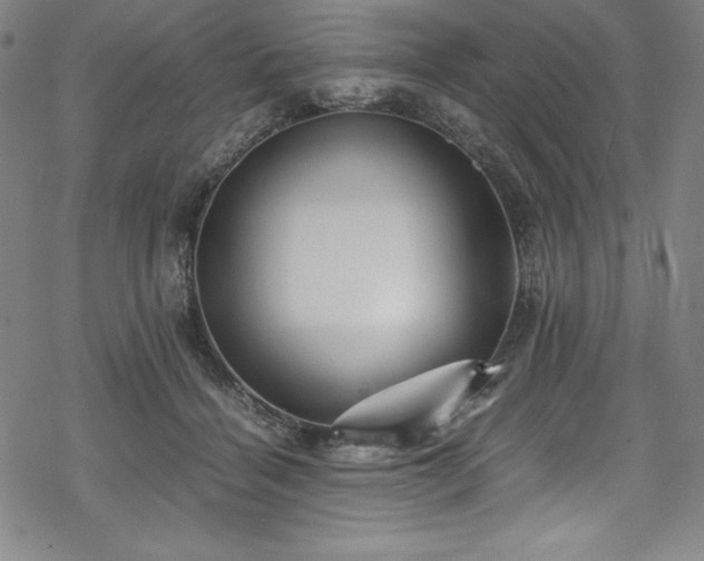 X0000069390460200605121215