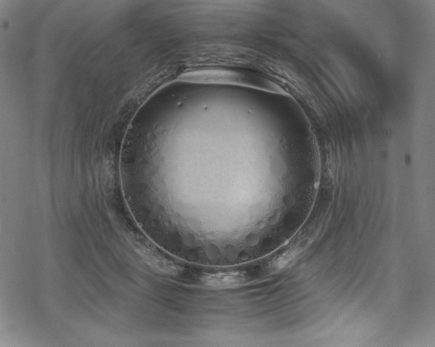 X0000069390461200605121215