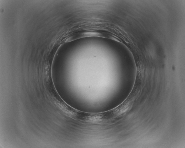 X0000069390462200605121215