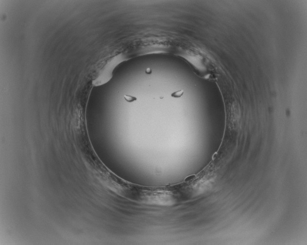 X0000069390463200605121215