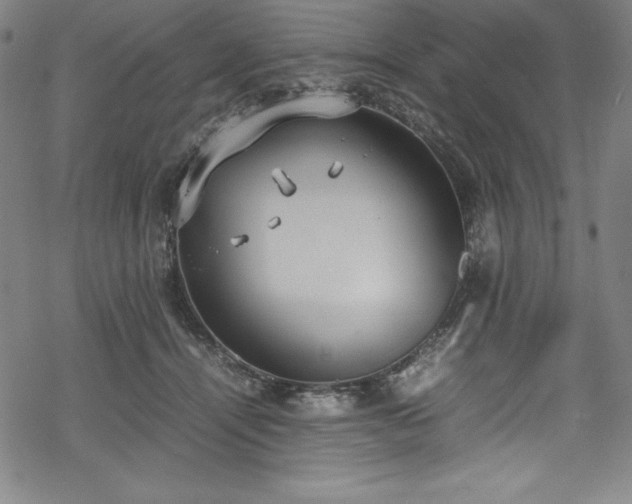 X0000069390464200605121215