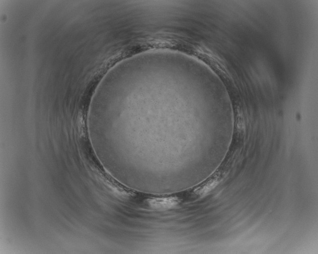 X0000069390465200605121215