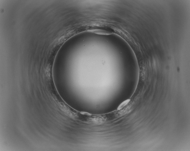 X0000069390466200605121215