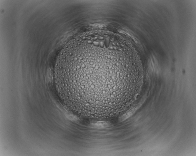 X0000069390467200605121215