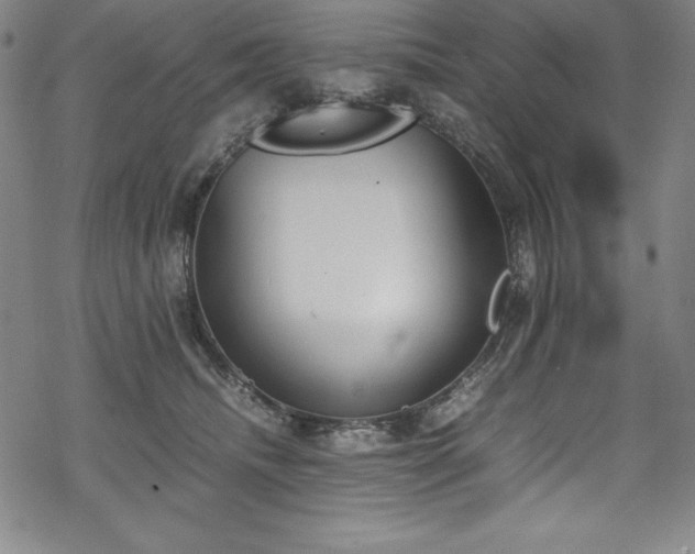 X0000069390468200605121215