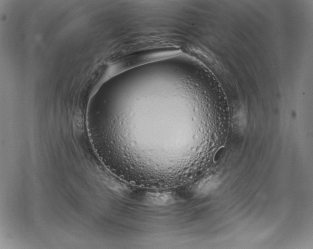 X0000069390469200605121215