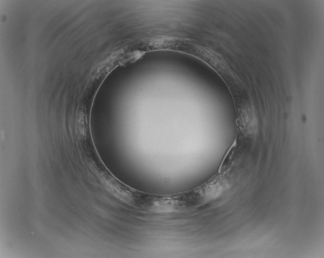 X0000069390470200605121216