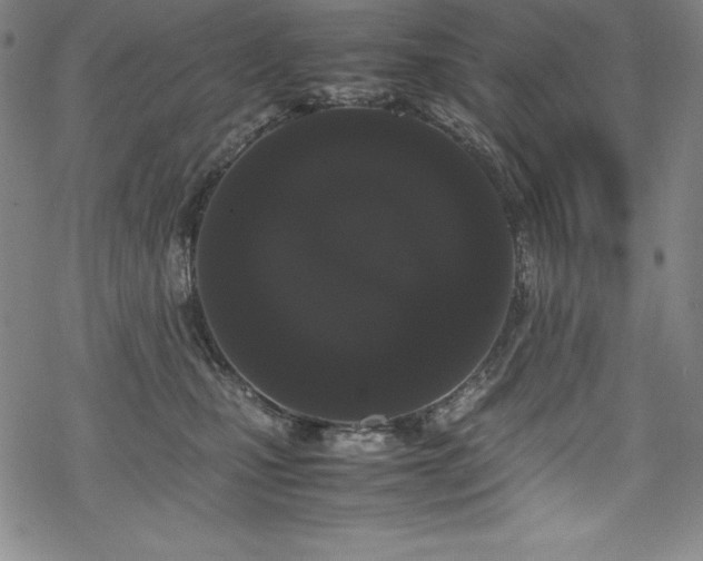 X0000069390471200605121216