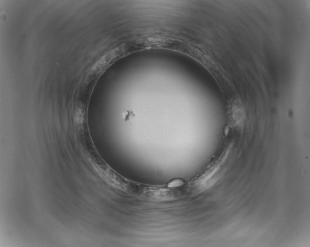 X0000069390472200605121216