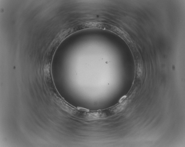 X0000069390473200605121216