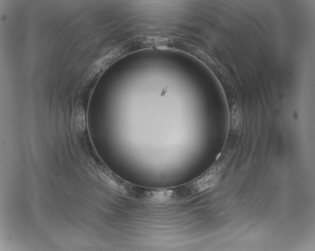 X0000069390474200605121216