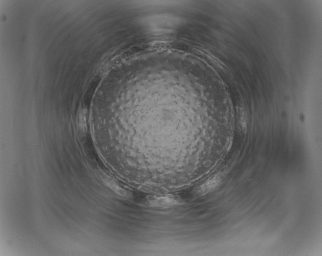 X0000069390475200605121216