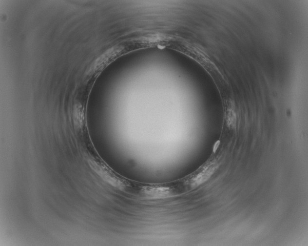 X0000069390476200605121216