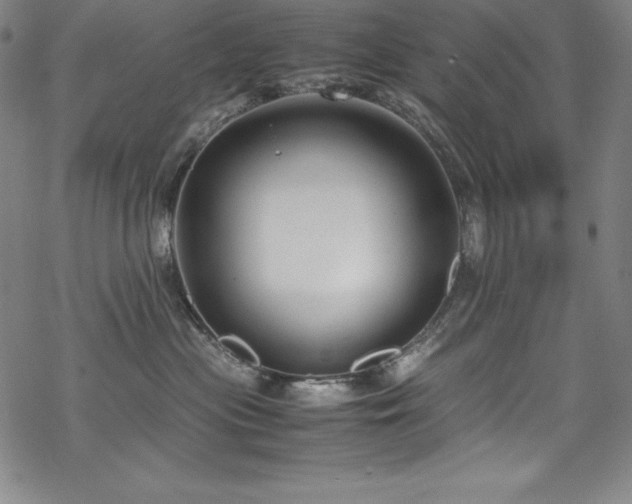 X0000069390477200605121216