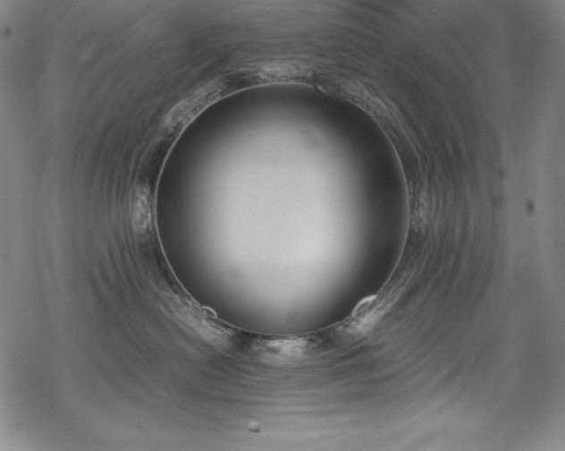 X0000069390478200605121216