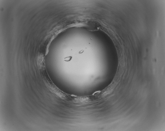 X0000069390480200605121216