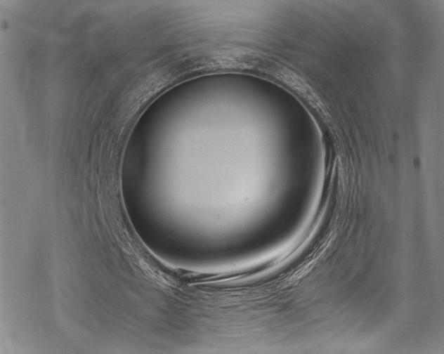 X0000069390481200605121215