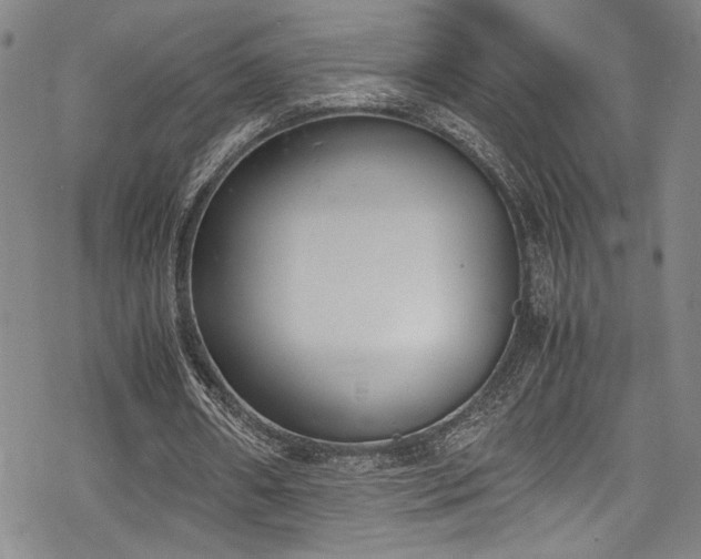 X0000069390482200605121215