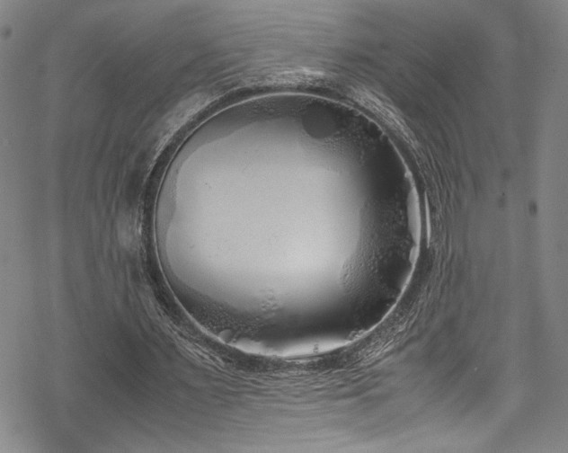 X0000069390483200605121215