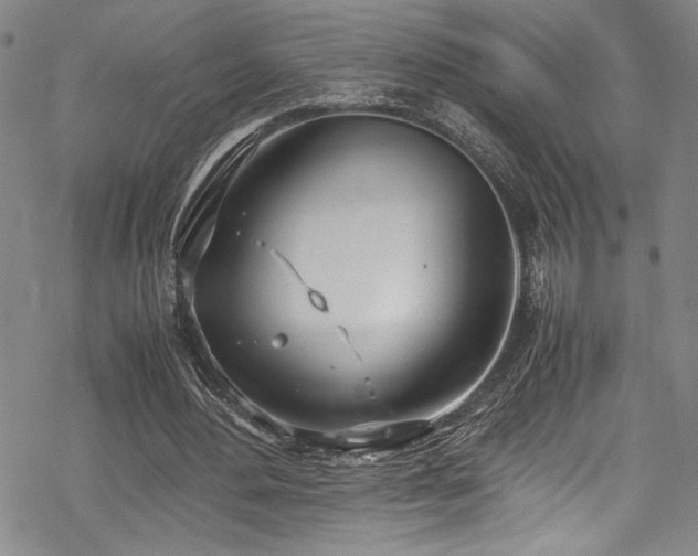 X0000069390484200605121215